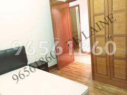 Tanglin View (D3), Condominium #95559392